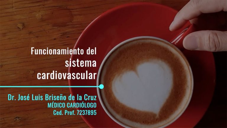 funcionamiento-del-sistema-cardiovascular